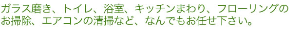 ガラス磨き、トイレ、浴室、キッチンまわり、フローリングの お掃除、エアコンの清掃など、なんでもお任せ下さい。